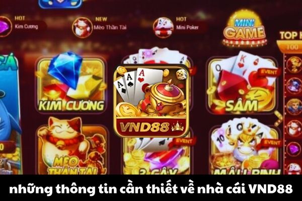 Quy Định Cần Chú Ý Khi Tham Gia Vào Vnd88	